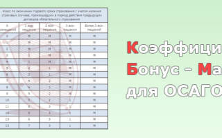 Check the OSAGO coefficient on your driver&#39;s license