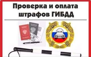 Узнать штрафы ГИБДД по водительскому удостоверению бесплатно